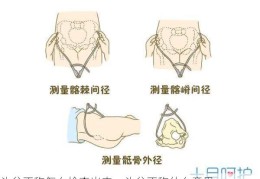 头盆不称怎么检查出来，头盆不称什么意思