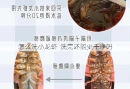 怎么洗小龙虾  洗完还能更干净吗