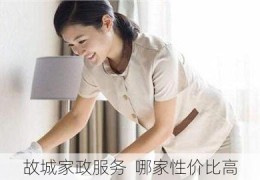 故城家政服务  哪家性价比高