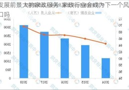 发展前景大的家政服务  家政行业会成为下一个风口吗