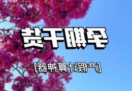 产假计算器，在线计算器帮你算