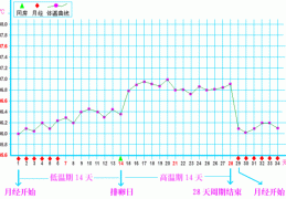 排卵期体温图怎么看，基础体温排卵期体温图