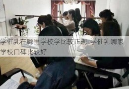 学催乳在哪里学校学比较正规  学催乳哪家学校口碑比较好