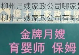 柳州月嫂家政公司哪家好，柳州月嫂家政公司有哪些