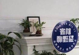 莉家整理师怎么样用户评价如何