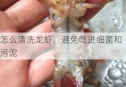 怎么清洗龙虾，避免吃进细菌和污泥