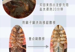 小龙虾清洗方法