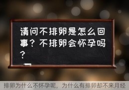 排卵为什么不怀孕呢，为什么有排卵却不来月经