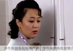 涉外保姆电视剧演员表，涉外保姆电视剧情介绍