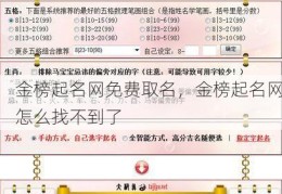 金榜起名网免费取名，金榜起名网怎么找不到了