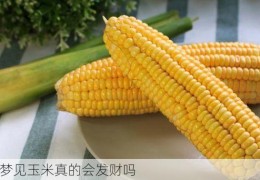 孕妇梦见玉米真的会发财吗