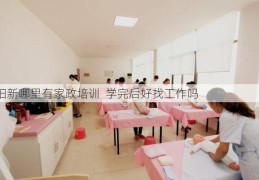 阳新哪里有家政培训  学完后好找工作吗