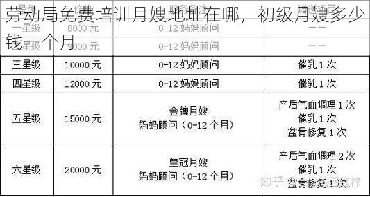 劳动局免费培训<strong>月嫂</strong>地址在哪，初级<strong>月嫂</strong>多少钱一个月