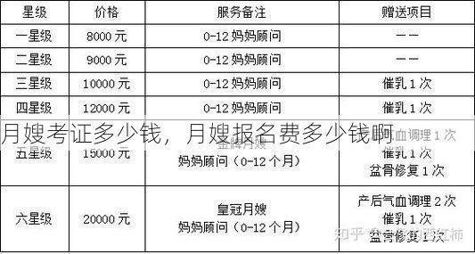 月嫂考证多少钱，月嫂报名费多少钱啊