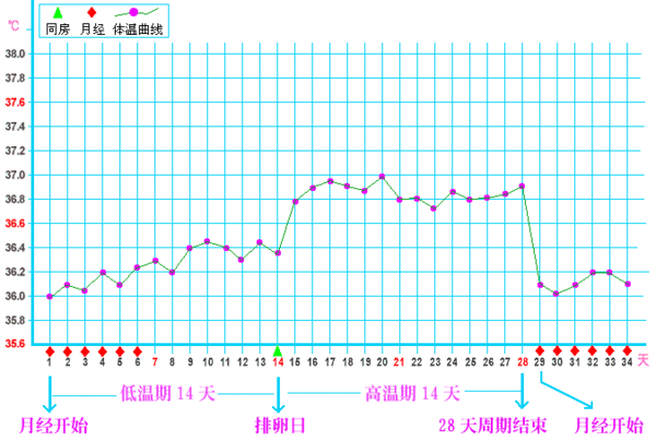 排卵期体温图怎么看，基础体温排卵期体温图