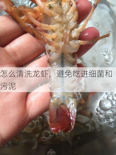 怎么清洗龙虾，避免吃进细菌和污泥