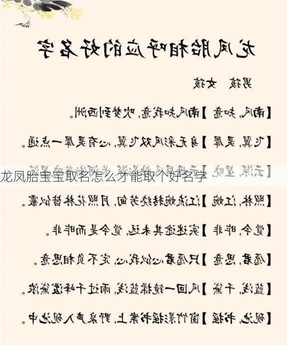 龙凤胎宝宝取名怎么才能取个好名字