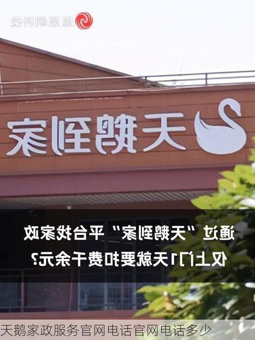 天鹅家政服务官网电话官网电话多少